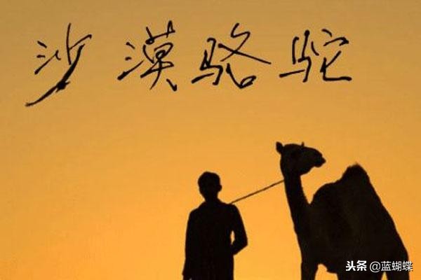 蔡健雅三次金曲奖,蔡健雅最难唱的歌曲