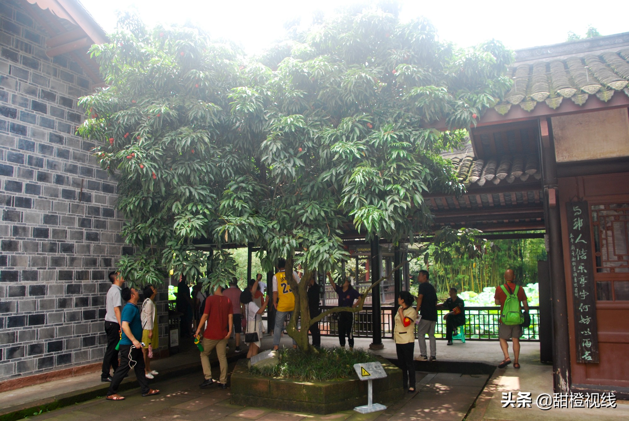 四川眉山的三苏祠,眉山三苏祠有什么故事