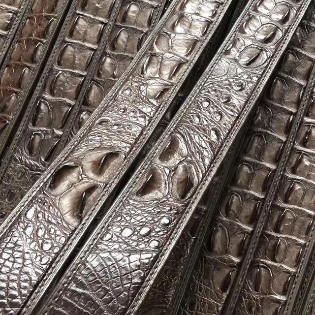 十大天价鳄鱼品种,真正的鳄鱼多少钱