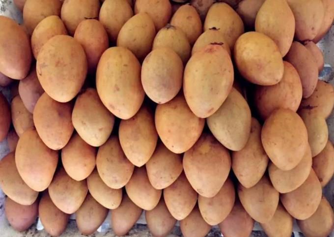 云南西双版纳旅游特色水果,云南西双版纳水果花