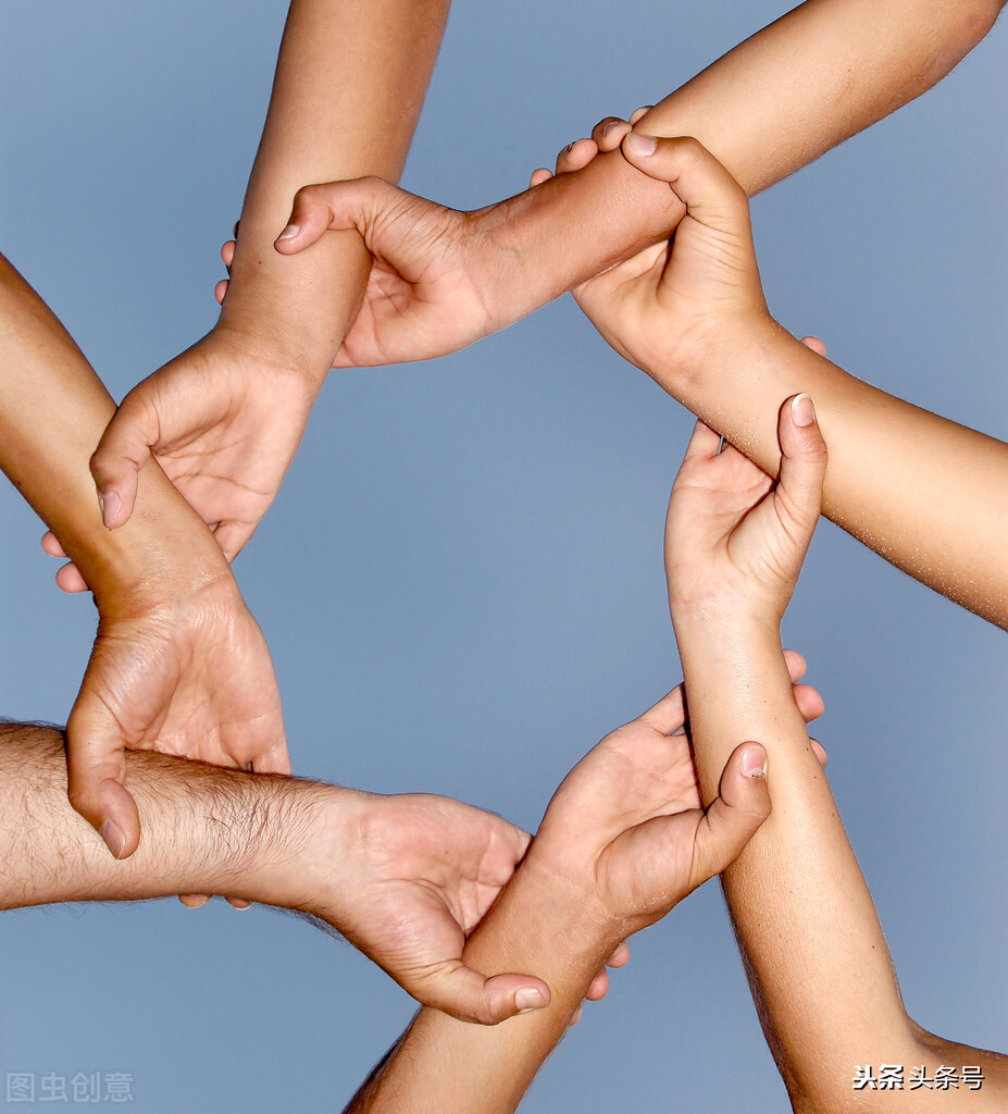 狗礼仪文化,狗尊重主人的表现