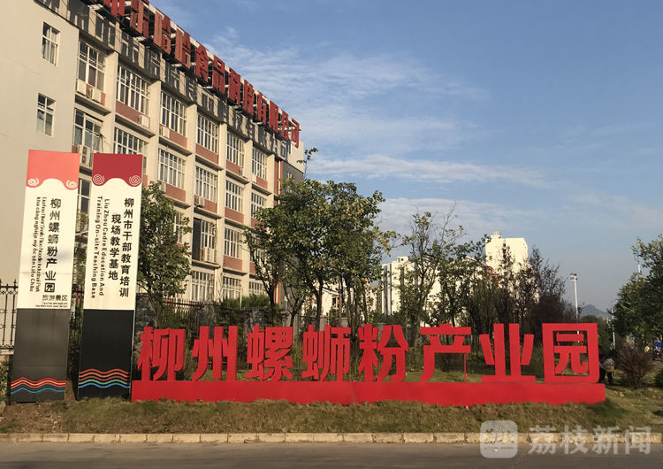 “百城千县万村调研行”|广西柳州:从街头小吃到“网红”,小小螺蛳粉撬动百亿大产业