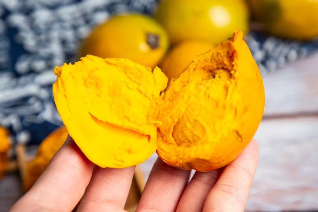 长在树上的鸡蛋果图片,长在树上的鸡蛋