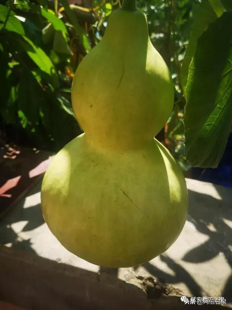 金太阳幼儿园校门,延安市甘泉谢金庄幼儿园