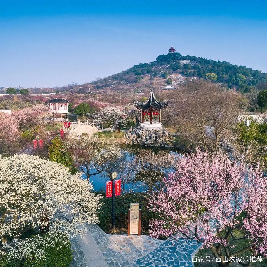 苏州西山免费打卡,苏州东山风景区网红打卡