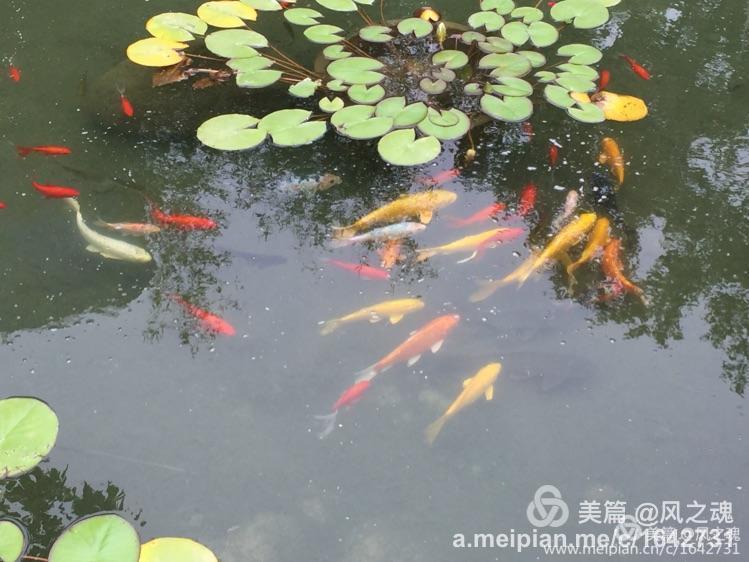 遵化汤泉御泉宫,遵化福泉宫汤泉