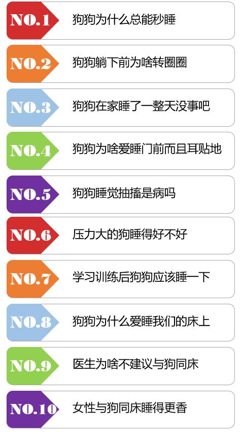 狗狗睡觉的最佳方法,狗狗睡觉姿势大揭秘