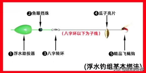 瓜子亮片加飞蝇如何钓白条,路亚瓜子亮片实战操作