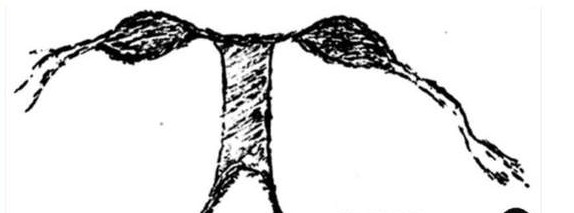 二十七年的坚持终于迎来转机,七年的努力和辛苦