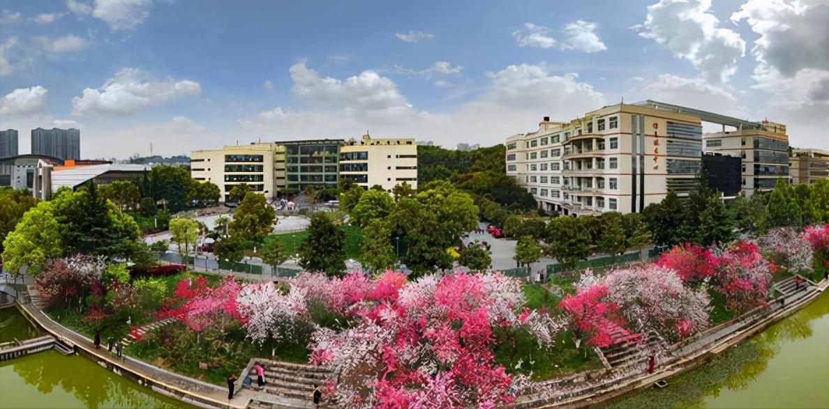 三峡大学是985还是211名校,三峡大学是几本是211和985吗