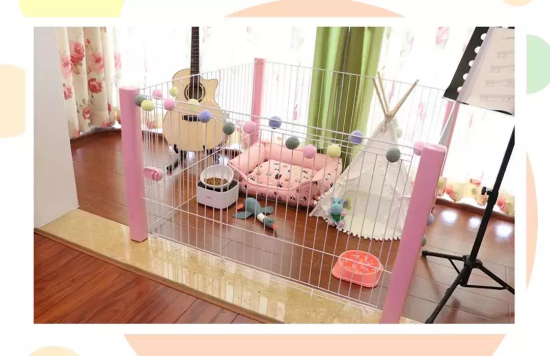 狗狗爱乱尿尿？你打它是没用的！快来看看正确解决方法