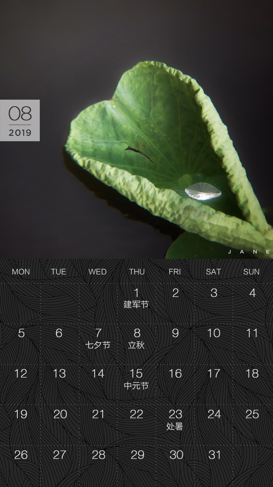 送你一张凉快动态壁纸,大暑送你清凉壁纸