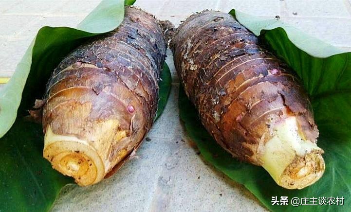 世界上最贵的三种食材,全球公认最贵顶级食材及价格