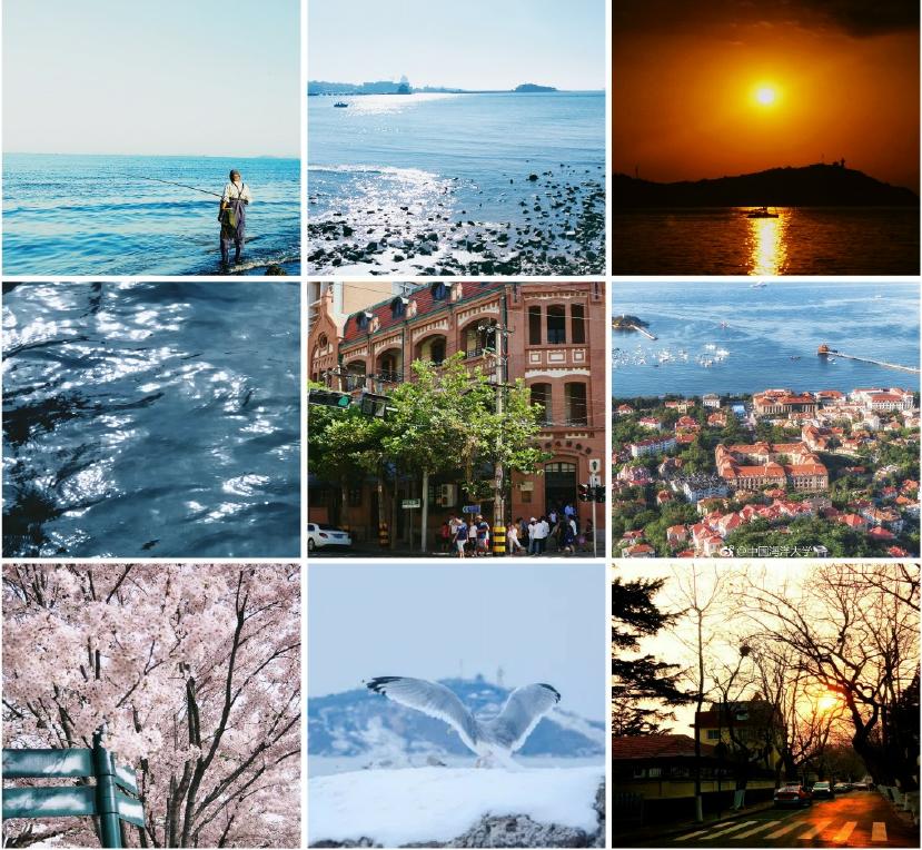 起源于1908年的咖啡面包店