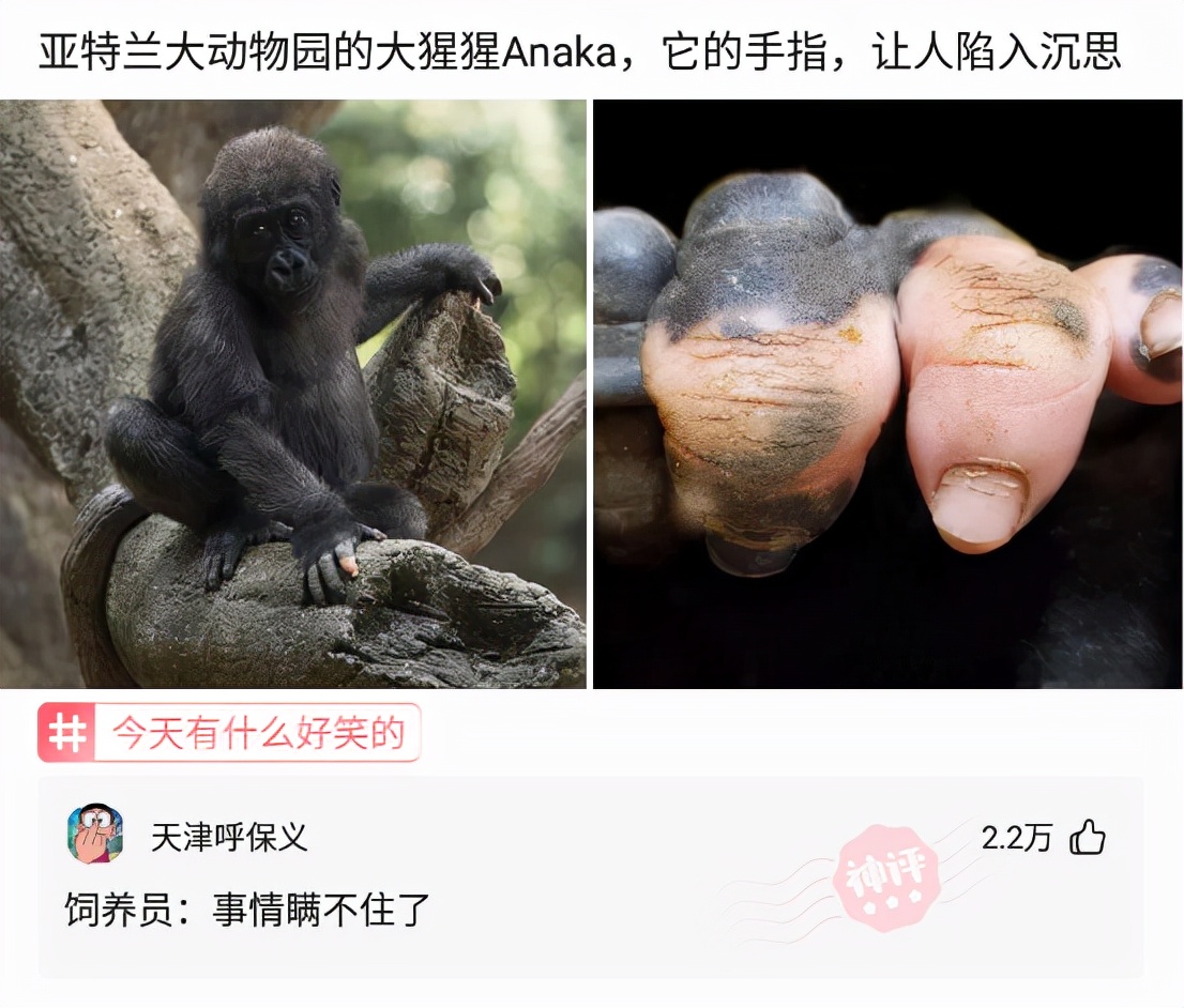 神回复女友信息,神回复女朋友