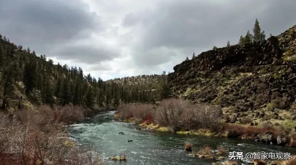 膳魔师是被新宝收购了没,膳魔师保温杯召回哪一款