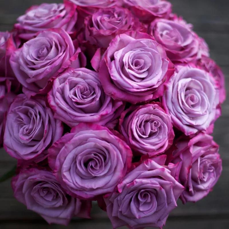 蓝色妖姬浪漫情怀,蓝色妖姬忧郁蓝调