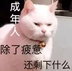 免费个人记账软件app哪个好用,手机记账app免费排行榜前十名