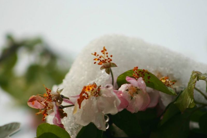 原创诗词七绝新韵,原创诗词五言绝句