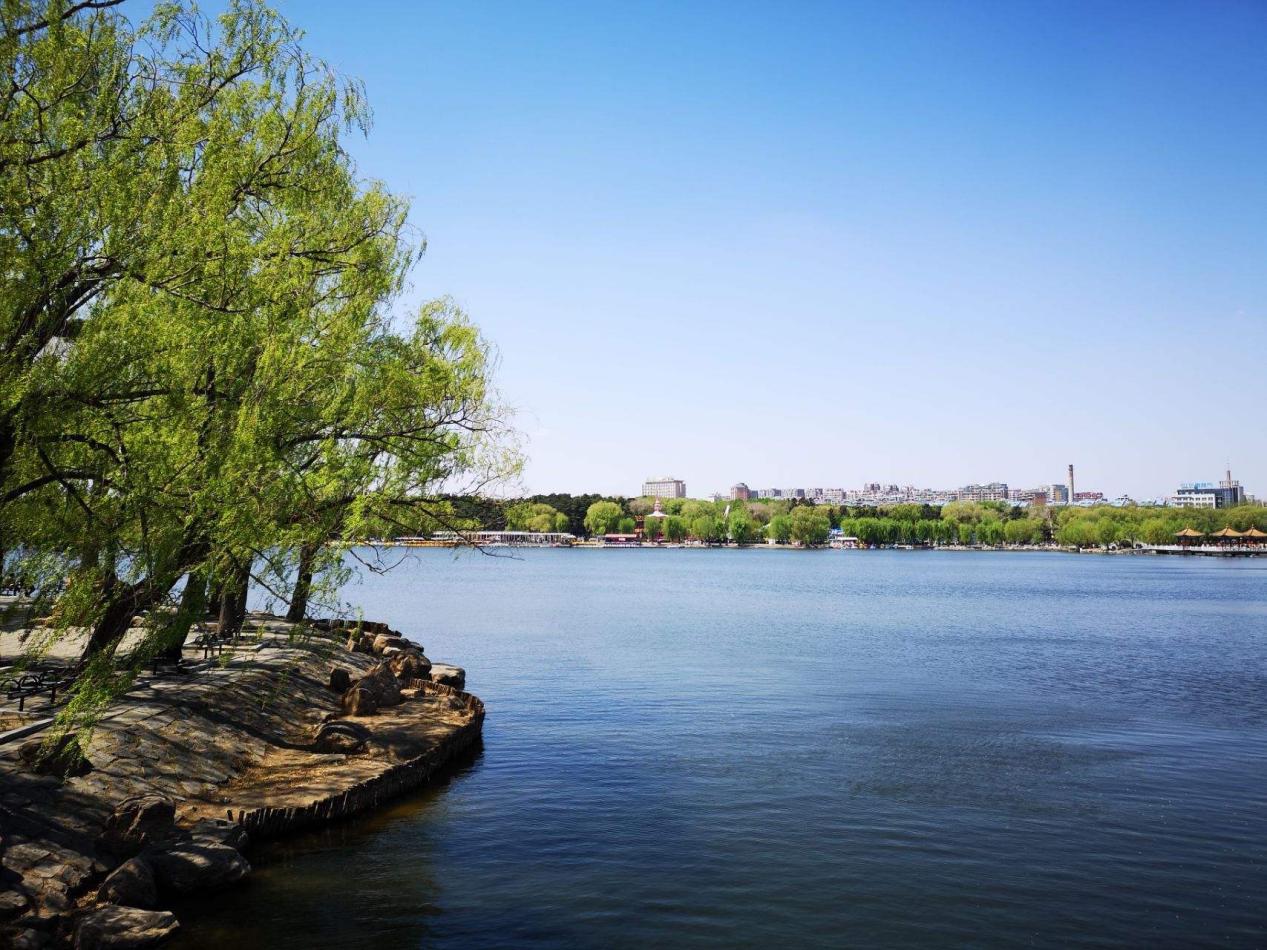 天茂湖│见证长春湖居迭代，下一个时代在哪？