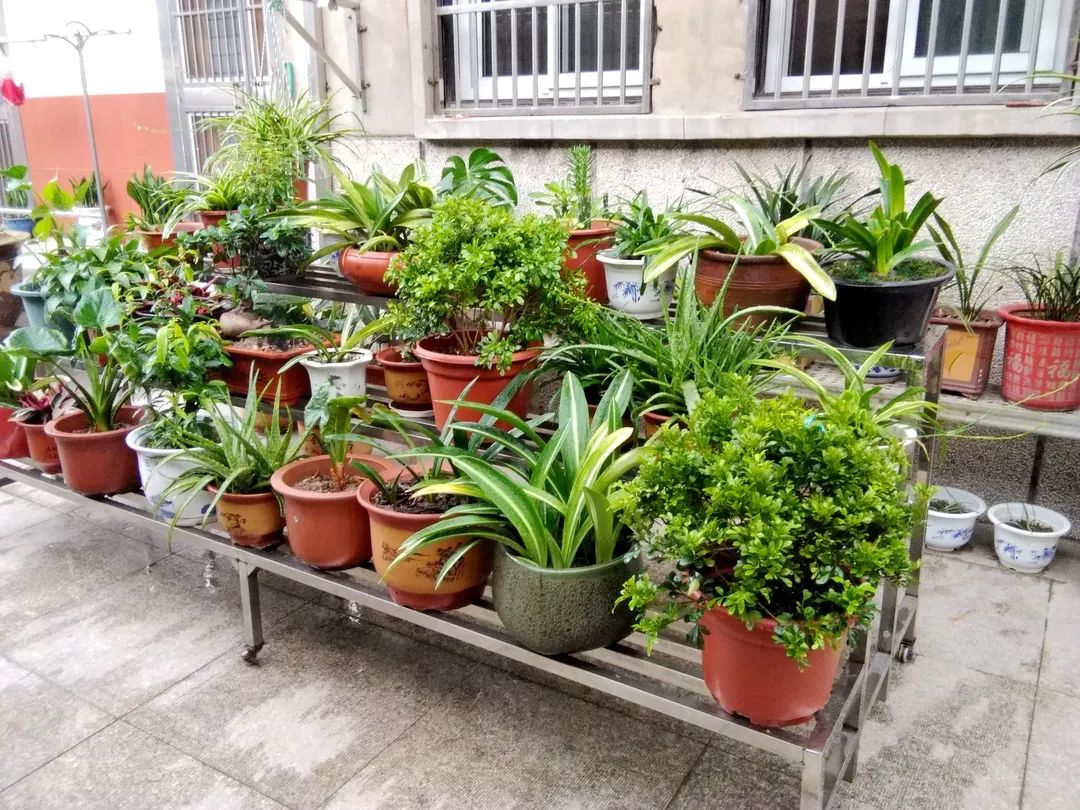 风景好的地方江阴,江阴好风景