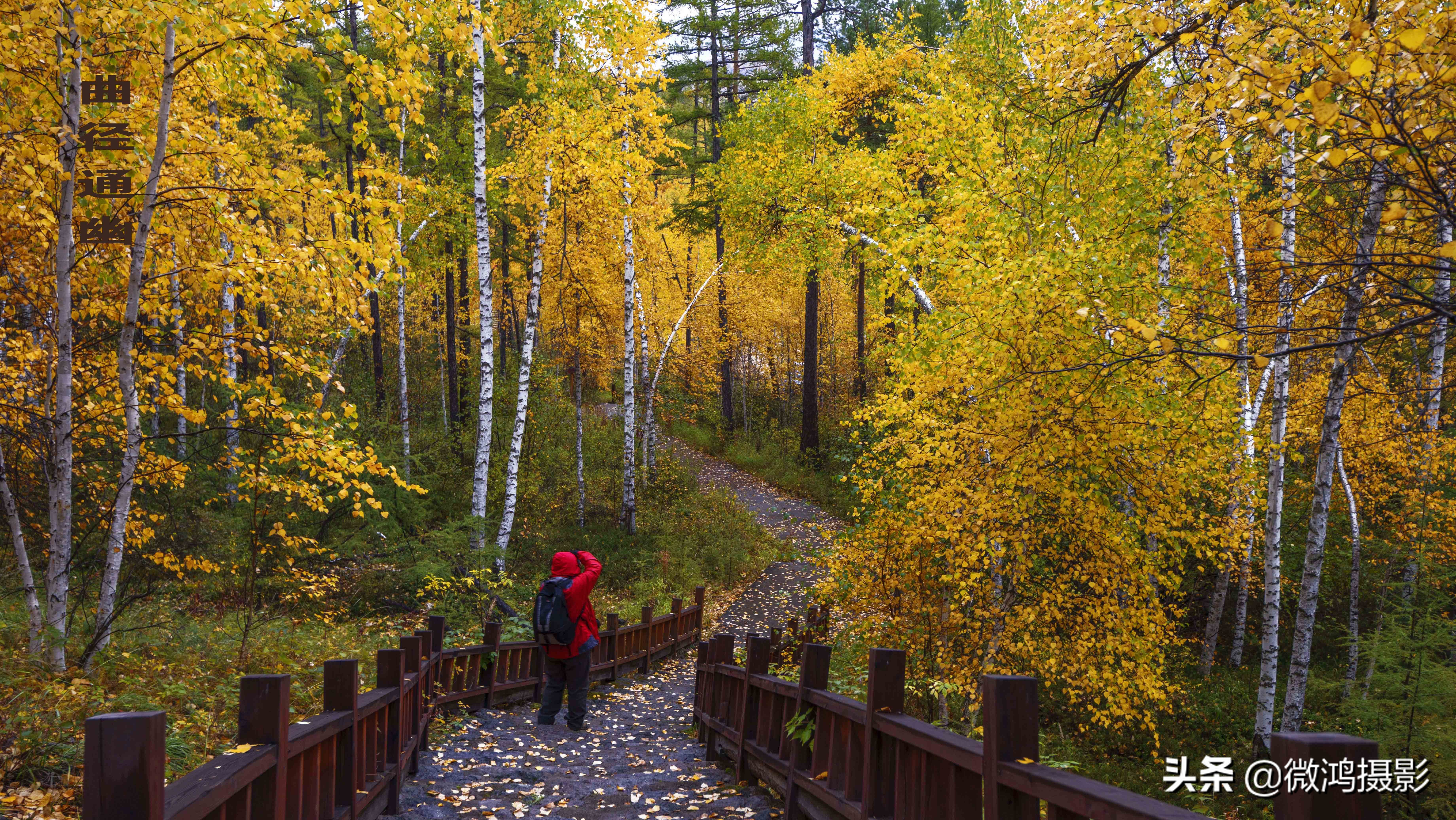 古岩石林图片大全,石林岩画