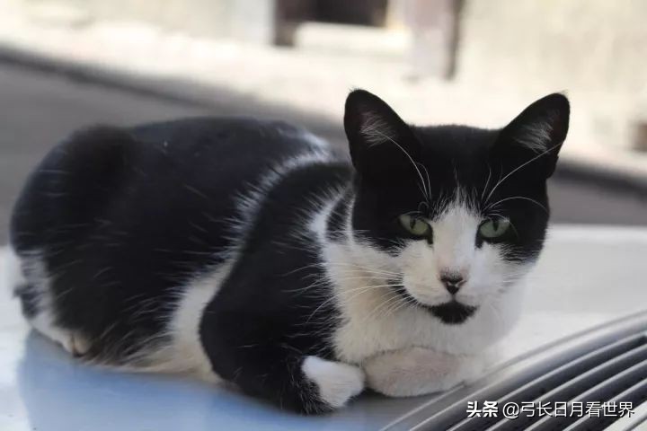 免签国家摩洛哥,摩洛哥撒哈拉沙漠与三毛