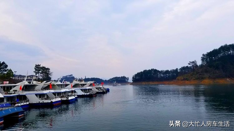 浙江千岛湖月光岛,千岛湖月光岛白天游玩攻略