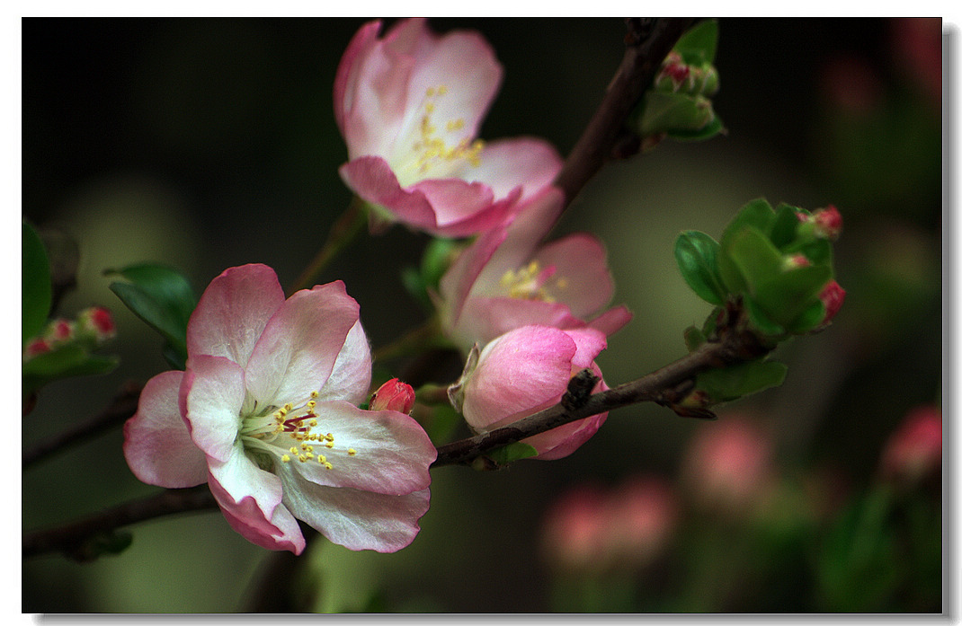 拥有这“二多二少”，你就是个幸福的人