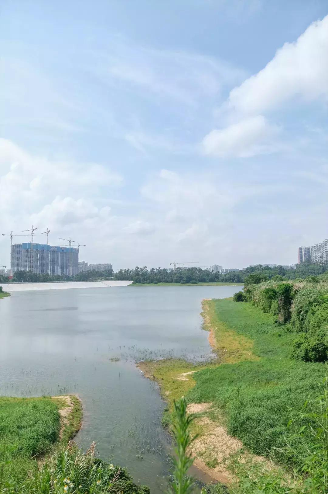 这里是观澜,下一站民治