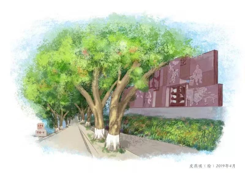 重庆一中与巴蜀中学哪个好,重庆一中全校前十名