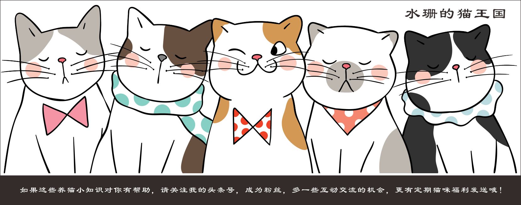 一百种猫咪叫声,十种猫咪的叫唤声音