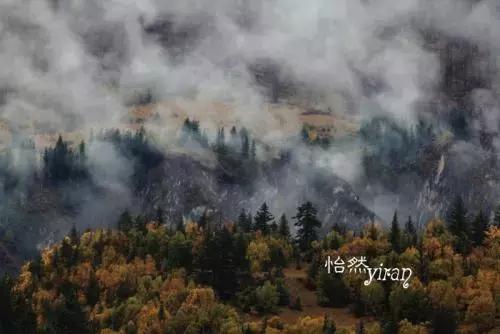 放下执念放过自己活在当下,放下得失随缘自在