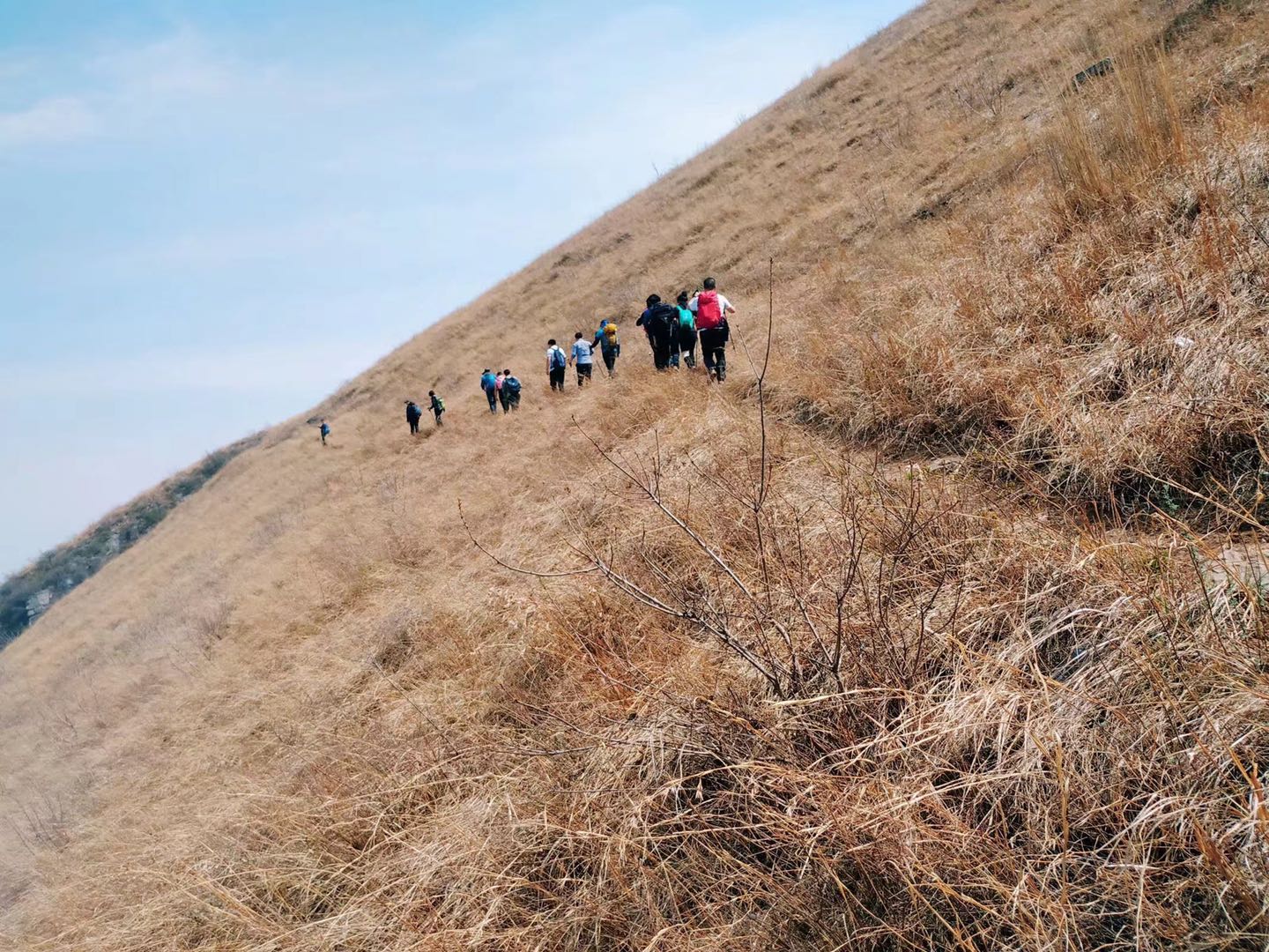 郑州最近山顶草原,离郑州自驾最近的大草原有哪些