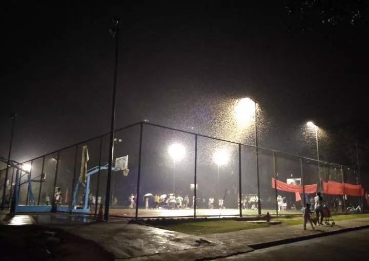 晚上开灯进来好多小飞虫怎么办,晚上开灯就引来很多飞虫是什么