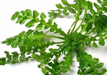 忆清明祖辈给我们留下了什么?