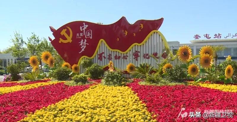 快上车视频全集,快上车完整版视频