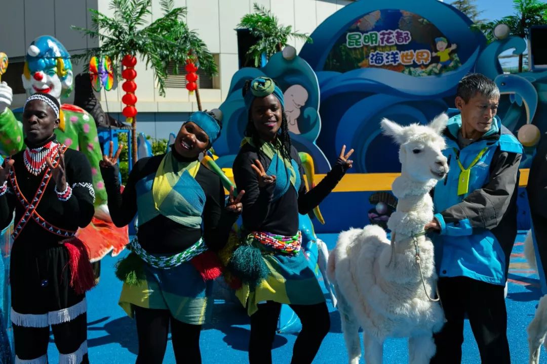 海洋剧场秀、丛林萌宠乐园、风车向阳花，昆明热闹新春，属于它