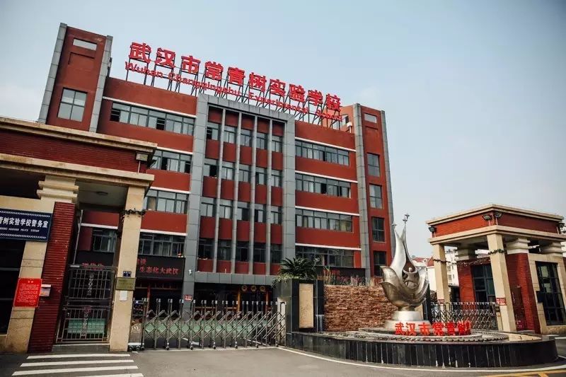 武汉住得最舒服的小区,武汉常青花园哪个小区最热闹