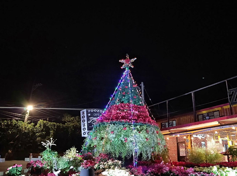 台北冬季旅游,台北旅游必去的地方是哪里