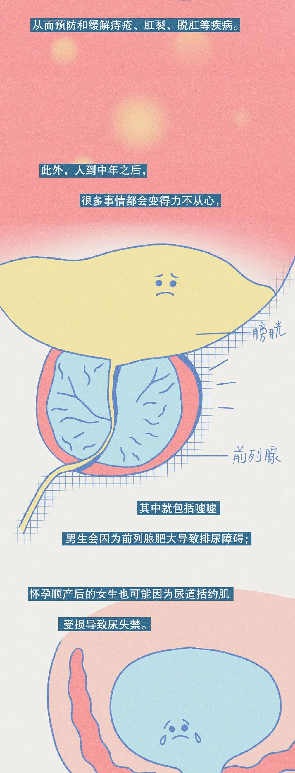 提肛运动的正确做法,提肛有什么好处