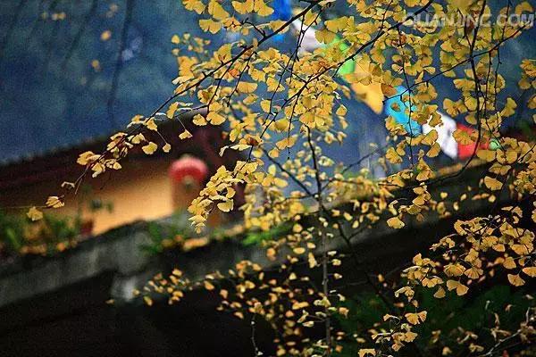 去庙里*拜参**到底能不能给佛像拍照？