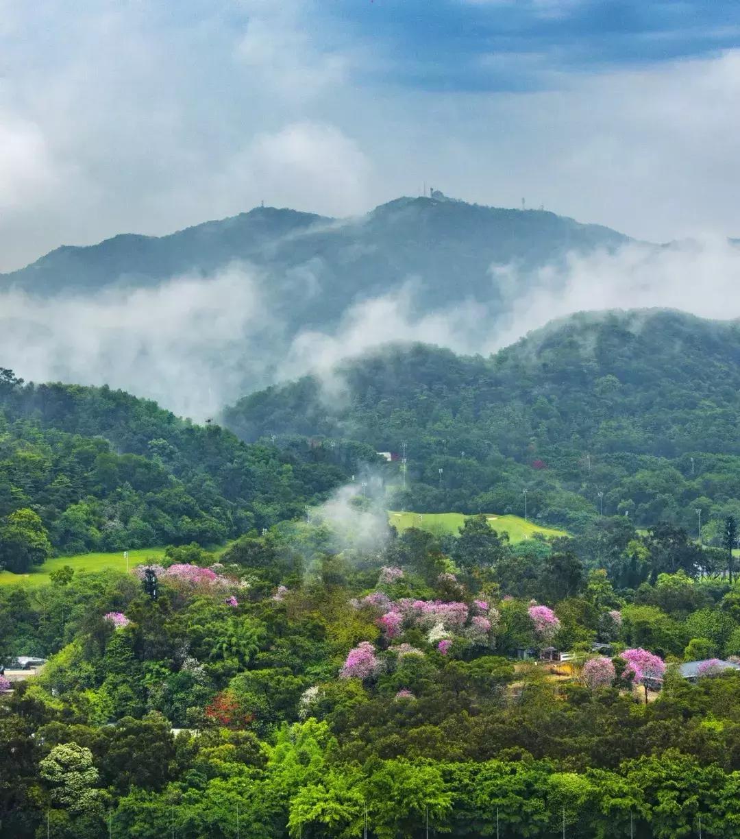 高榜山重阳登高交通管制,重阳登高交通管制