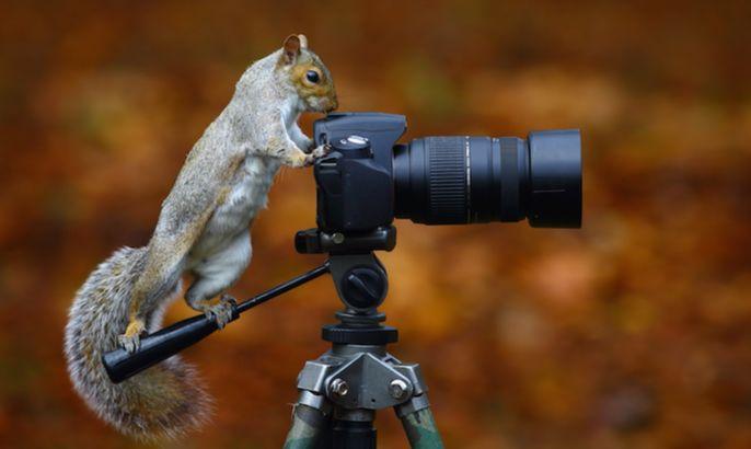 玩抖音的必备软件设备,玩抖音必备的工具