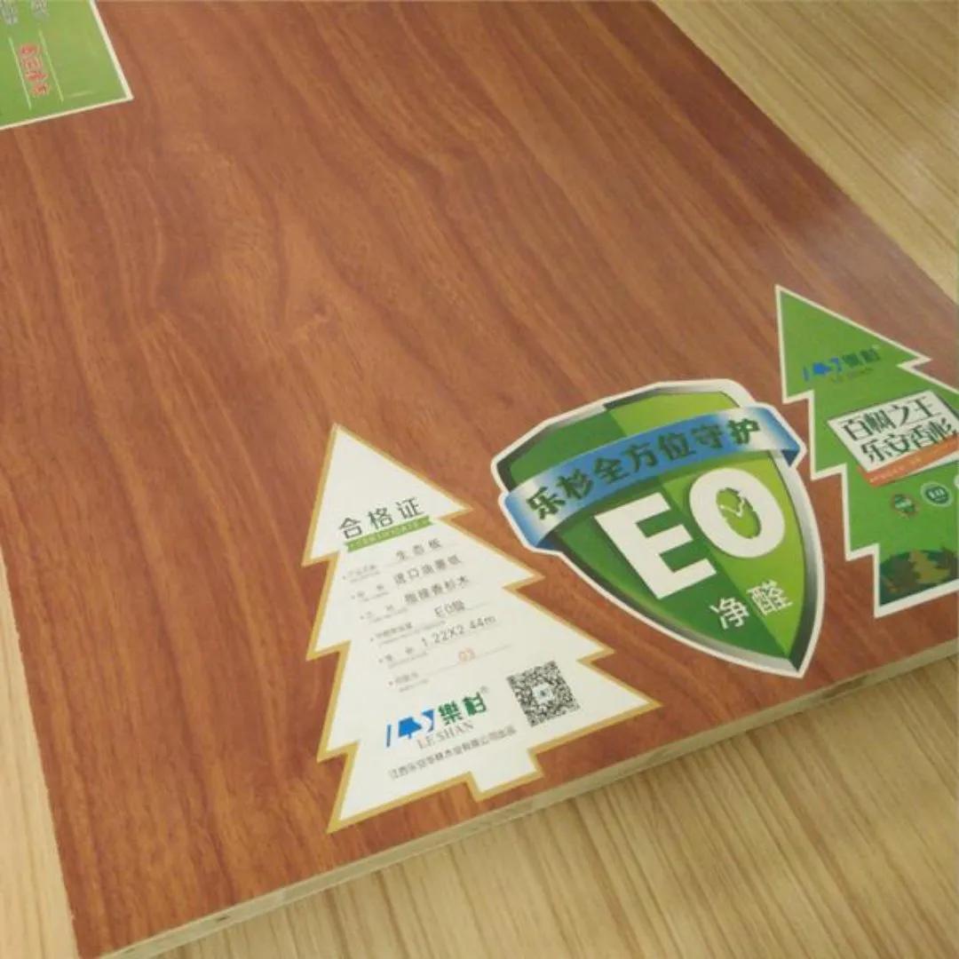 新房防甲醛的植物,新房防甲醛买什么植物