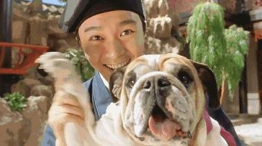 喜剧之王金凯瑞20部经典电影,喜剧之王金凯瑞装瘫痪装了二十年