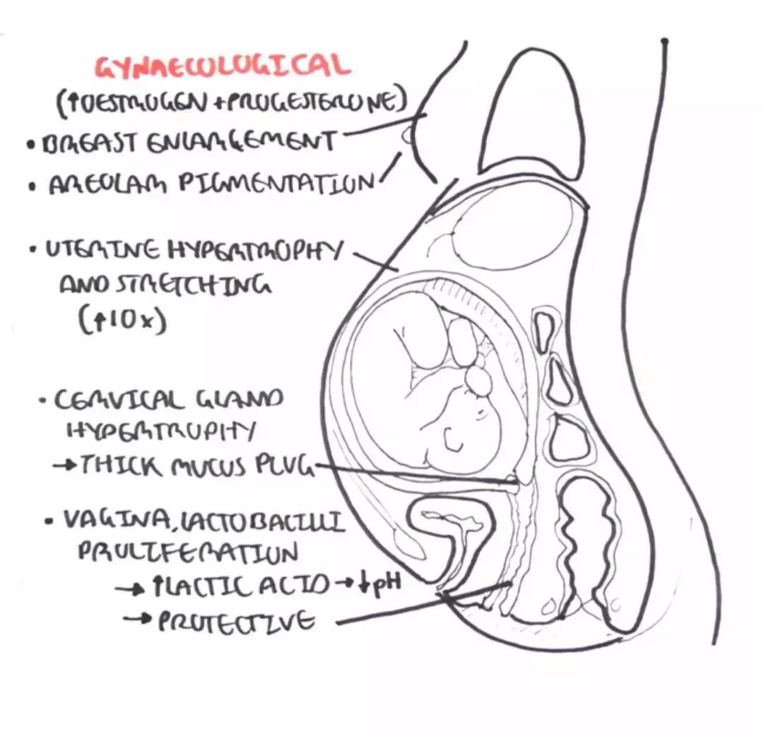 医学知识科普产后康复,开局不可言语最新章节在线阅读