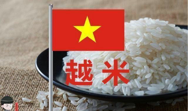 疫情过后越南大米出口,疫情期间越南为什么限制大米出口