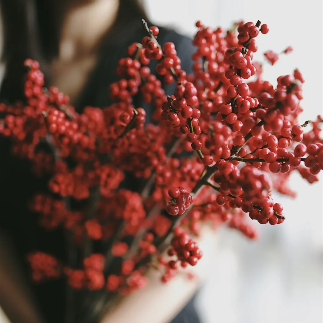 野冬青花材,畅销花卉绿植排行榜前十名