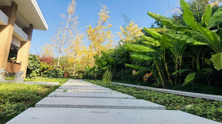 太白山凤凰温泉299住宿套餐,5.1假期太白山凤凰温泉门票团购